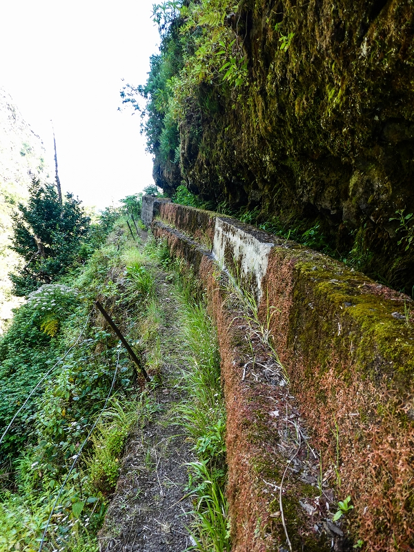 14.05.2019 Wieder einmal in einem meiner Lieblingsgebiete unterwegs: Faja da Nogueira — Bis zum Pico da Nogueira — Foto 1
