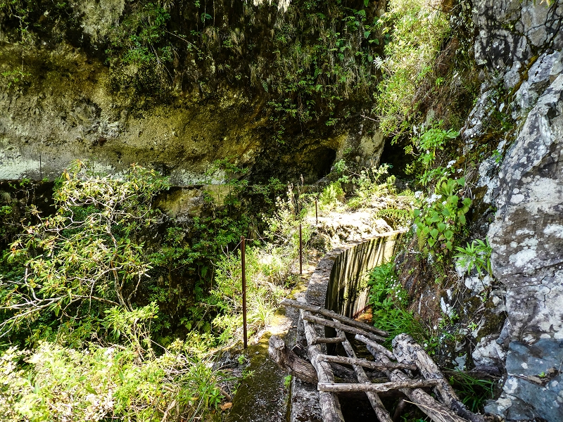 14.05.2019 Wieder einmal in einem meiner Lieblingsgebiete unterwegs: Faja da Nogueira — Bis zum Pico da Nogueira — Foto 2