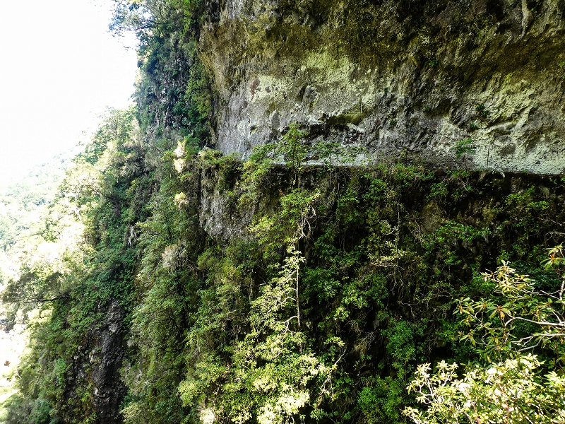 14.05.2019 Wieder einmal in einem meiner Lieblingsgebiete unterwegs: Faja da Nogueira — Bis zum Pico da Nogueira — Foto 3