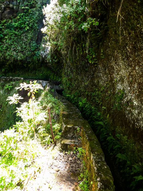 14.05.2019 Wieder einmal in einem meiner Lieblingsgebiete unterwegs: Faja da Nogueira — Bis zum Pico da Nogueira — Foto 5