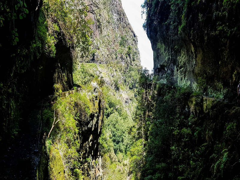 14.05.2019 Wieder einmal in einem meiner Lieblingsgebiete unterwegs: Faja da Nogueira — Bis zum Pico da Nogueira — Foto 4