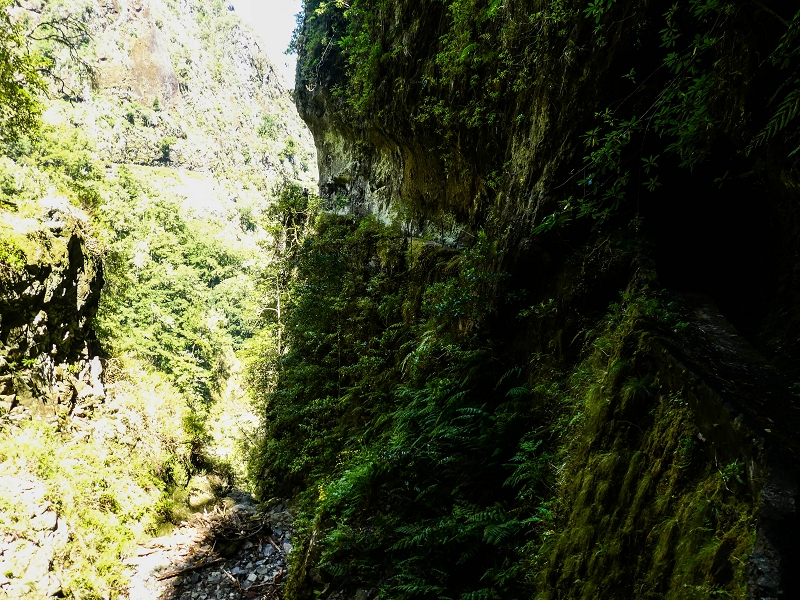 14.05.2019 Wieder einmal in einem meiner Lieblingsgebiete unterwegs: Faja da Nogueira — Bis zum Pico da Nogueira — Foto 7