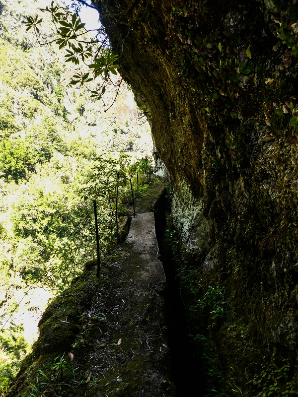 14.05.2019 Wieder einmal in einem meiner Lieblingsgebiete unterwegs: Faja da Nogueira — Bis zum Pico da Nogueira — Foto 8