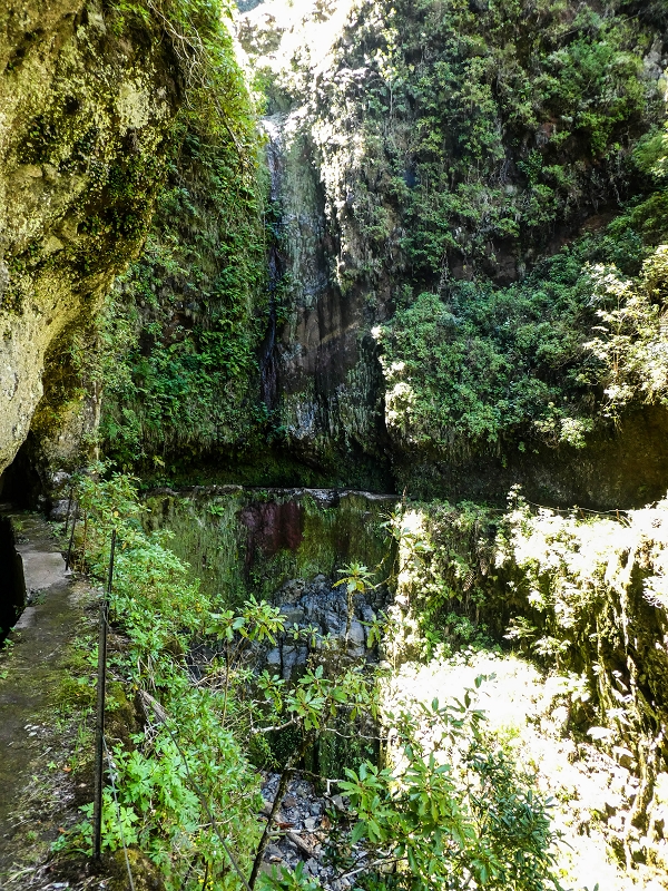 14.05.2019 Wieder einmal in einem meiner Lieblingsgebiete unterwegs: Faja da Nogueira — Bis zum Pico da Nogueira — Foto 9