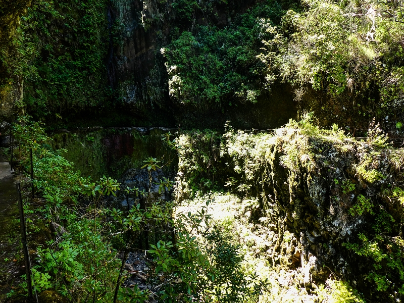 14.05.2019 Wieder einmal in einem meiner Lieblingsgebiete unterwegs: Faja da Nogueira — Bis zum Pico da Nogueira — Foto 10