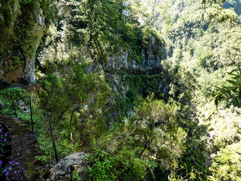 14.05.2019 Wieder einmal in einem meiner Lieblingsgebiete unterwegs: Faja da Nogueira — Bis zum Pico da Nogueira — Foto 13