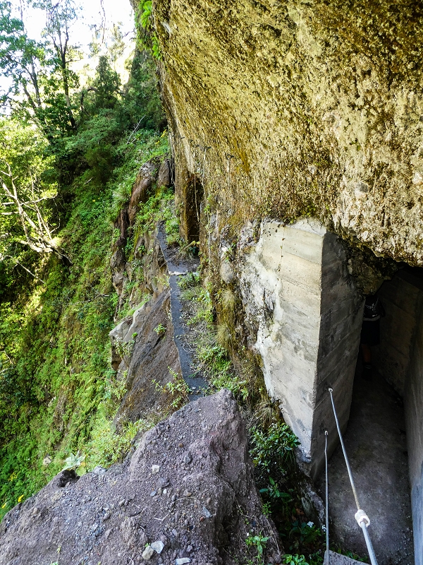 14.05.2019 Wieder einmal in einem meiner Lieblingsgebiete unterwegs: Faja da Nogueira — Bis zum Pico da Nogueira — Foto 14