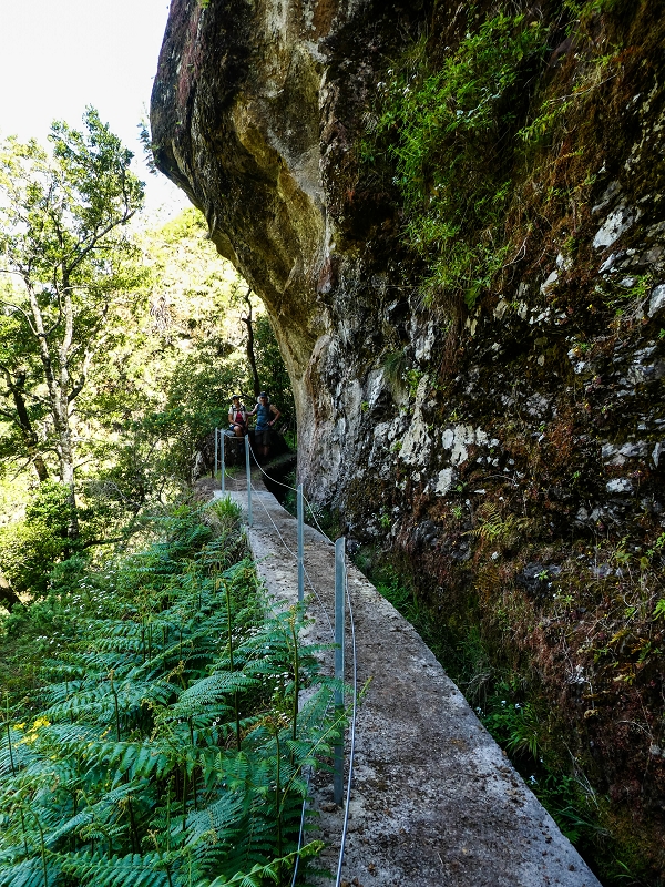 14.05.2019 Wieder einmal in einem meiner Lieblingsgebiete unterwegs: Faja da Nogueira — Bis zum Pico da Nogueira — Foto 17