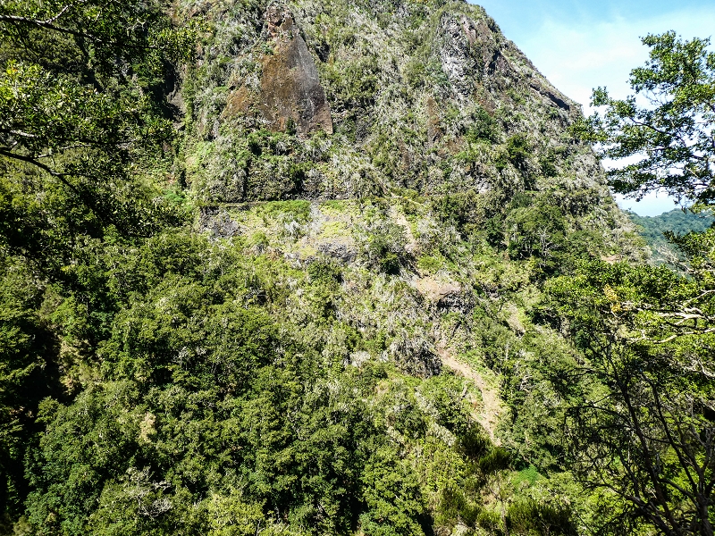 14.05.2019 Wieder einmal in einem meiner Lieblingsgebiete unterwegs: Faja da Nogueira — Bis zum Pico da Nogueira — Foto 18