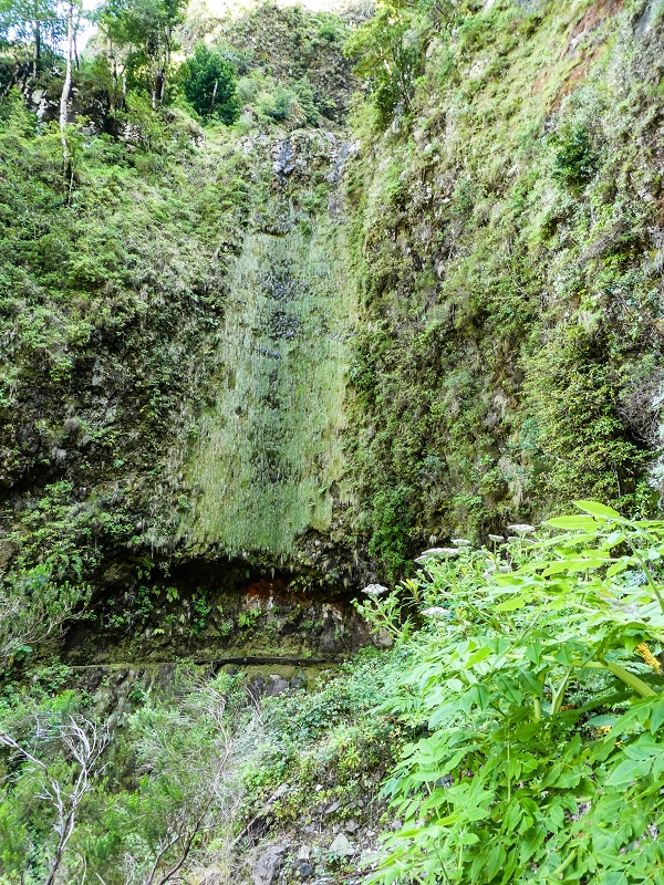 14.05.2019 Wieder einmal in einem meiner Lieblingsgebiete unterwegs: Faja da Nogueira — Bis zum Pico da Nogueira — Foto 19
