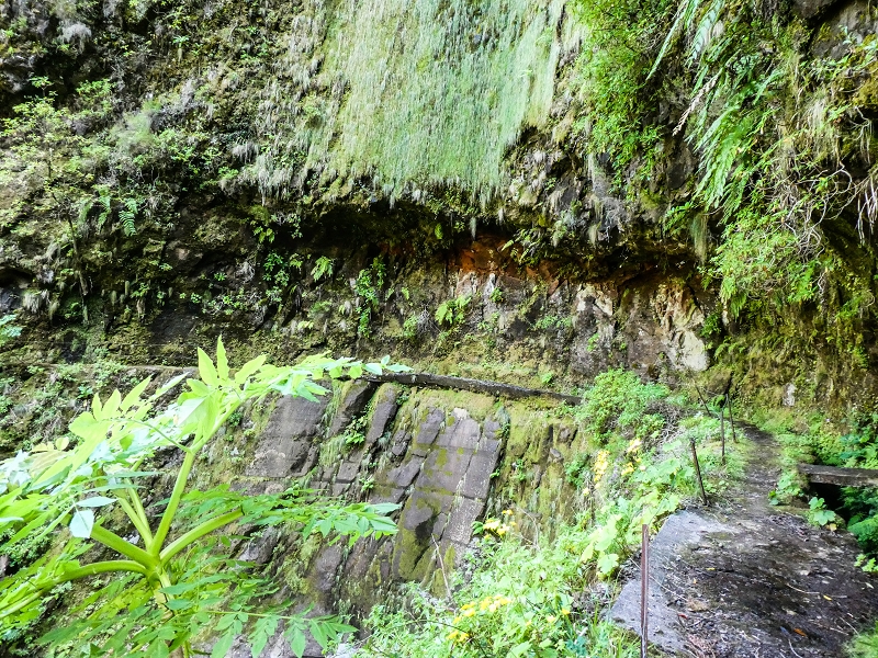 14.05.2019 Wieder einmal in einem meiner Lieblingsgebiete unterwegs: Faja da Nogueira — Bis zum Pico da Nogueira — Foto 21