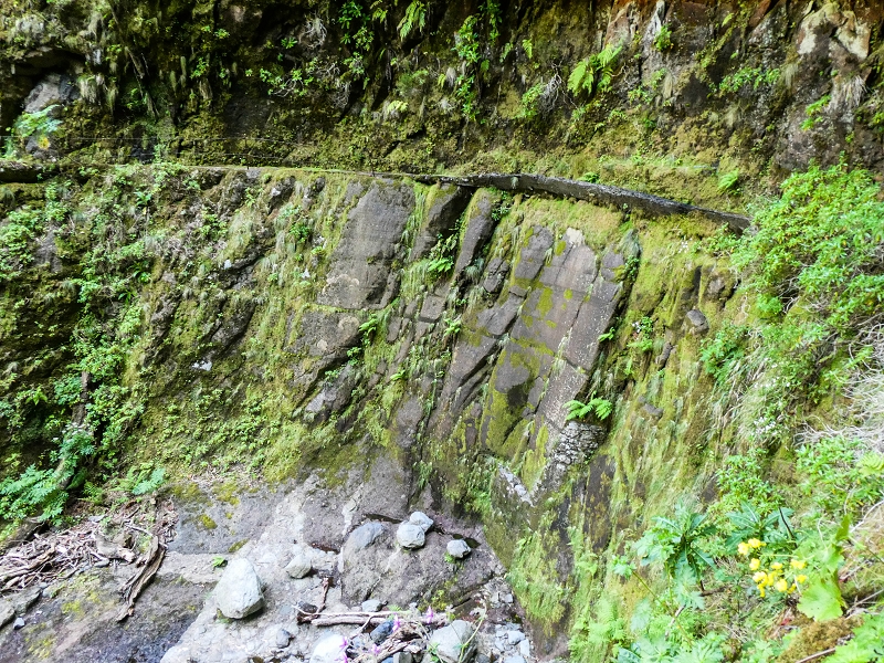 14.05.2019 Wieder einmal in einem meiner Lieblingsgebiete unterwegs: Faja da Nogueira — Bis zum Pico da Nogueira — Foto 24