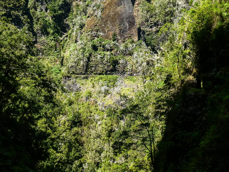 14.05.2019 Wieder einmal in einem meiner Lieblingsgebiete unterwegs: Faja da Nogueira — Bis zum Pico da Nogueira — Foto 27