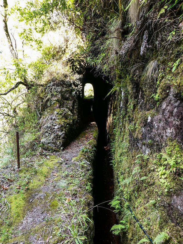 14.05.2019 Wieder einmal in einem meiner Lieblingsgebiete unterwegs: Faja da Nogueira — Bis zum Pico da Nogueira — Foto 29