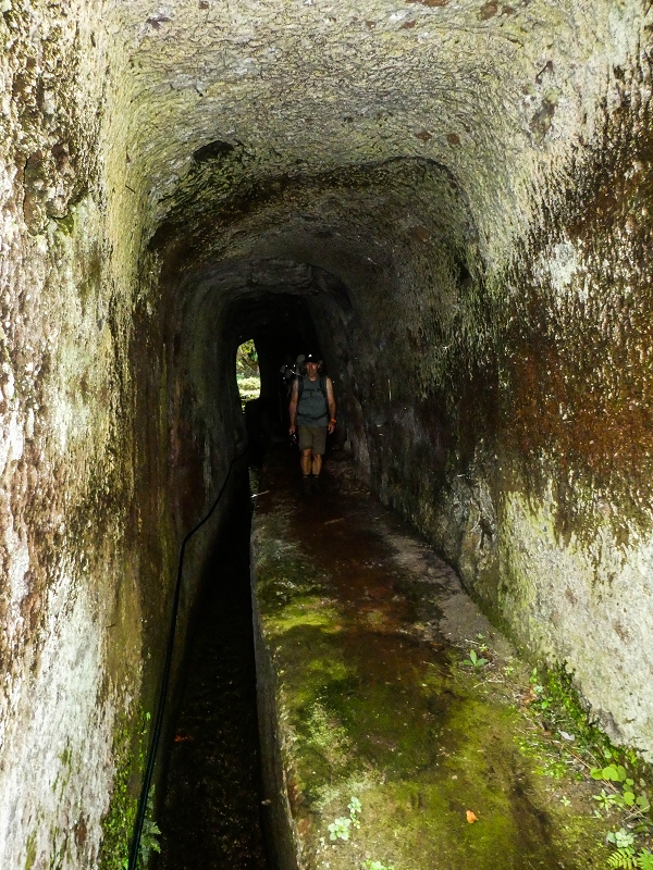 14.05.2019 Wieder einmal in einem meiner Lieblingsgebiete unterwegs: Faja da Nogueira — Bis zum Pico da Nogueira — Foto 30