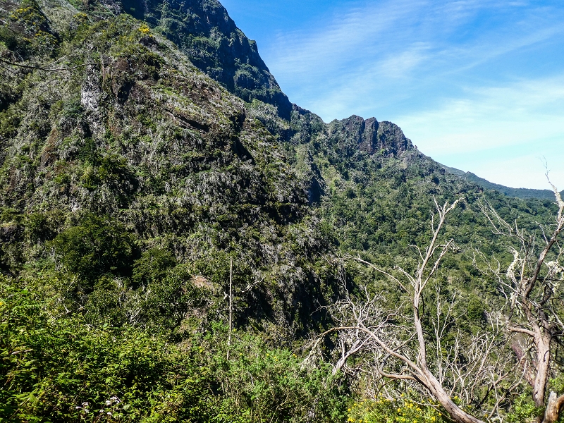 14.05.2019 Wieder einmal in einem meiner Lieblingsgebiete unterwegs: Faja da Nogueira — Bis zum Pico da Nogueira — Foto 31