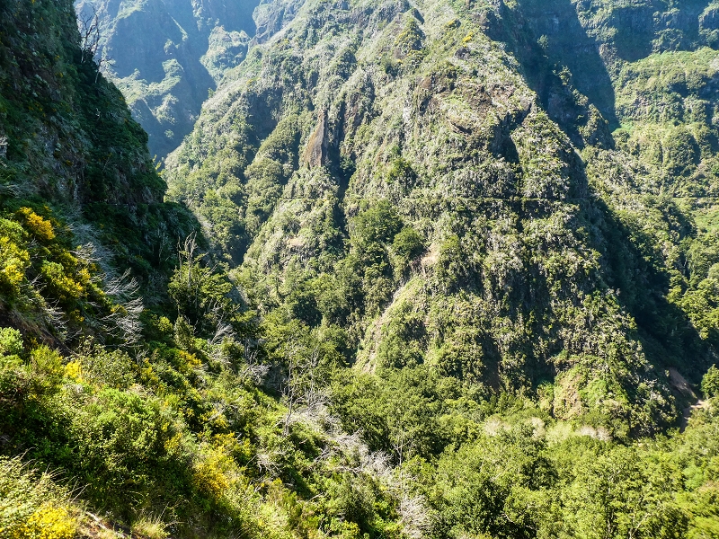 14.05.2019 Wieder einmal in einem meiner Lieblingsgebiete unterwegs: Faja da Nogueira — Bis zum Pico da Nogueira — Foto 33