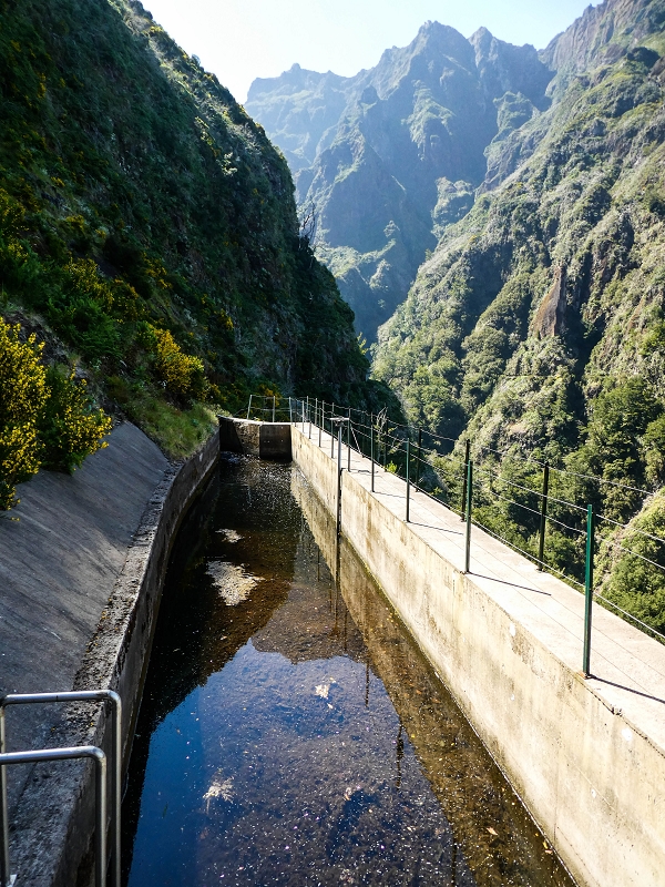 14.05.2019 Wieder einmal in einem meiner Lieblingsgebiete unterwegs: Faja da Nogueira — Auf der Levada Nova do Juncal zum Hinkelstein — Foto 1