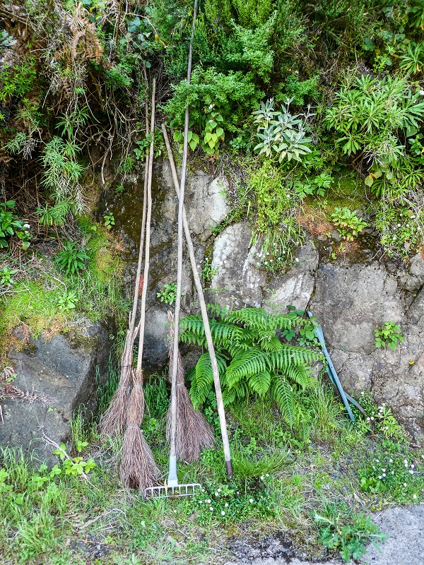 14.05.2019 Wieder einmal in einem meiner Lieblingsgebiete unterwegs: Faja da Nogueira — Auf der Levada Nova do Juncal zum Hinkelstein — Foto 2