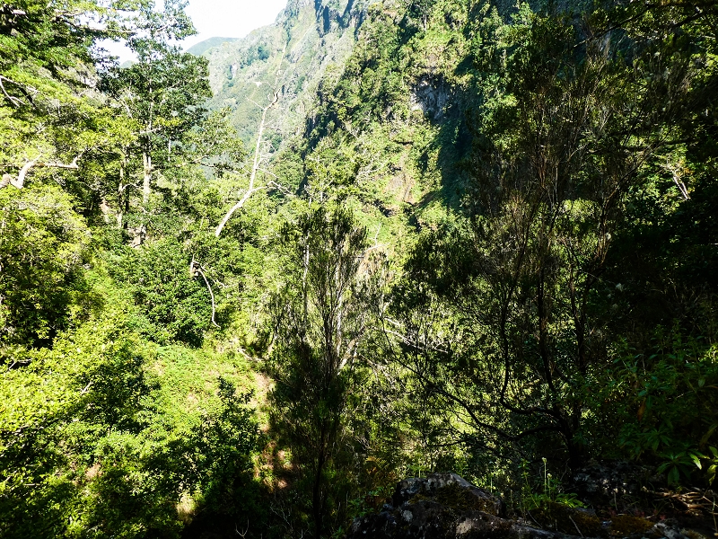 14.05.2019 Wieder einmal in einem meiner Lieblingsgebiete unterwegs: Faja da Nogueira — Auf der Levada Nova do Juncal zum Hinkelstein — Foto 3