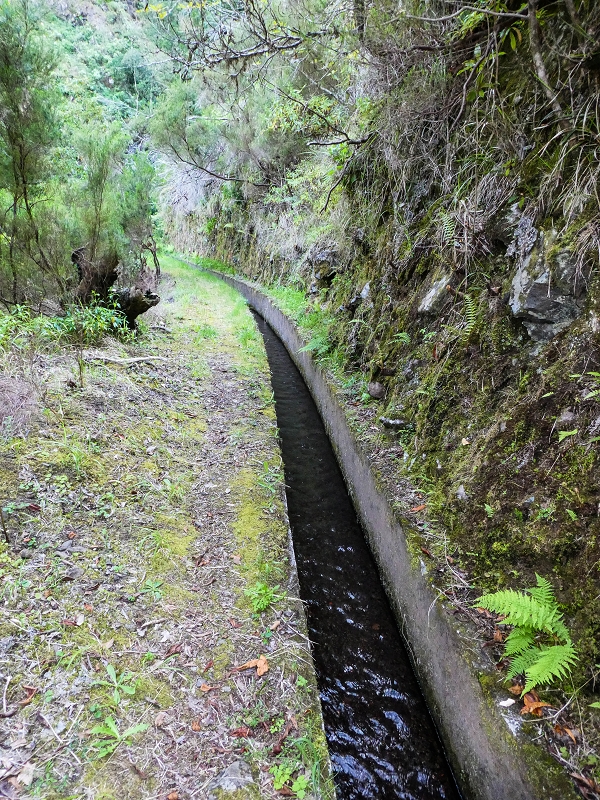 14.05.2019 Wieder einmal in einem meiner Lieblingsgebiete unterwegs: Faja da Nogueira — Auf der Levada Nova do Juncal zum Hinkelstein — Foto 4
