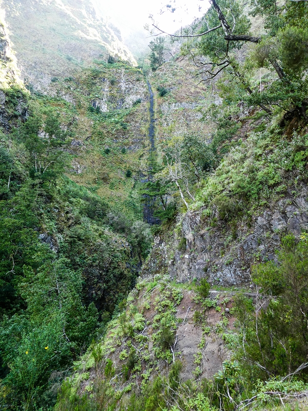 14.05.2019 Wieder einmal in einem meiner Lieblingsgebiete unterwegs: Faja da Nogueira — Auf der Levada Nova do Juncal zum Hinkelstein — Foto 5