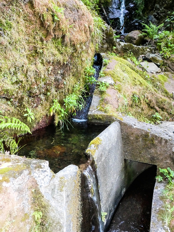 14.05.2019 Wieder einmal in einem meiner Lieblingsgebiete unterwegs: Faja da Nogueira — Auf der Levada Nova do Juncal zum Hinkelstein — Foto 6