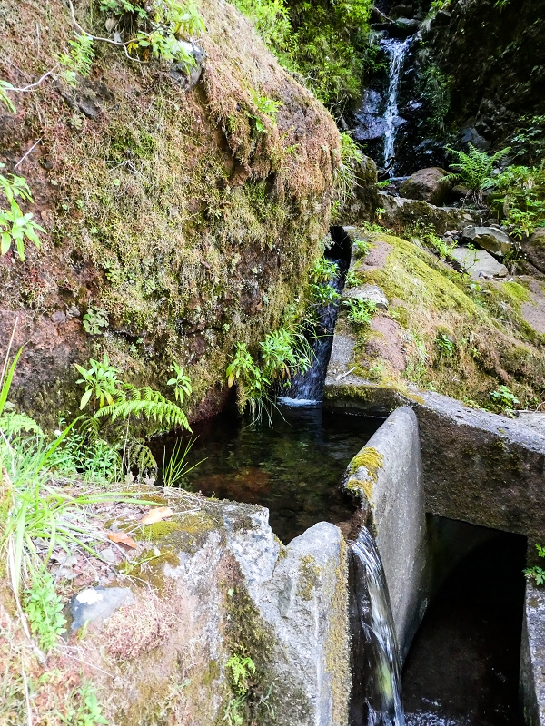 14.05.2019 Wieder einmal in einem meiner Lieblingsgebiete unterwegs: Faja da Nogueira — Auf der Levada Nova do Juncal zum Hinkelstein — Foto 7