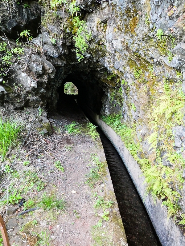 14.05.2019 Wieder einmal in einem meiner Lieblingsgebiete unterwegs: Faja da Nogueira — Auf der Levada Nova do Juncal zum Hinkelstein — Foto 8