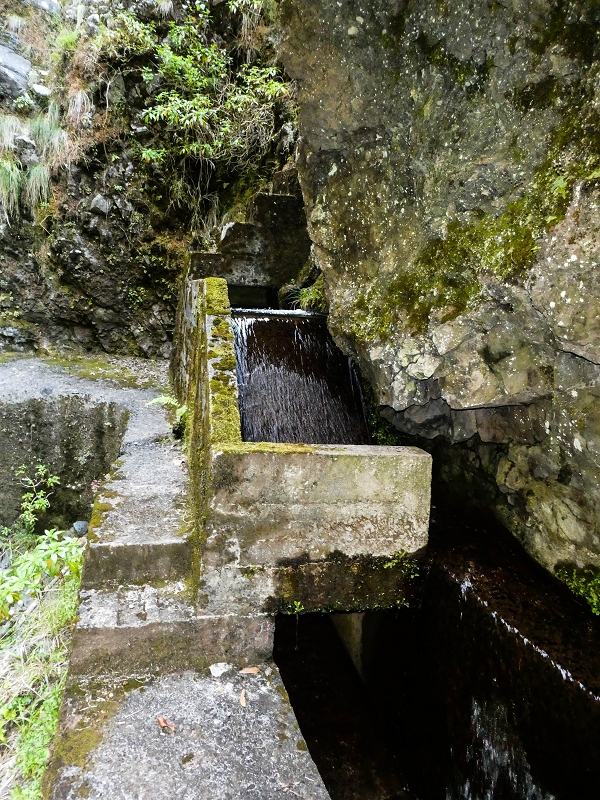 14.05.2019 Wieder einmal in einem meiner Lieblingsgebiete unterwegs: Faja da Nogueira — Auf der Levada Nova do Juncal zum Hinkelstein — Foto 9