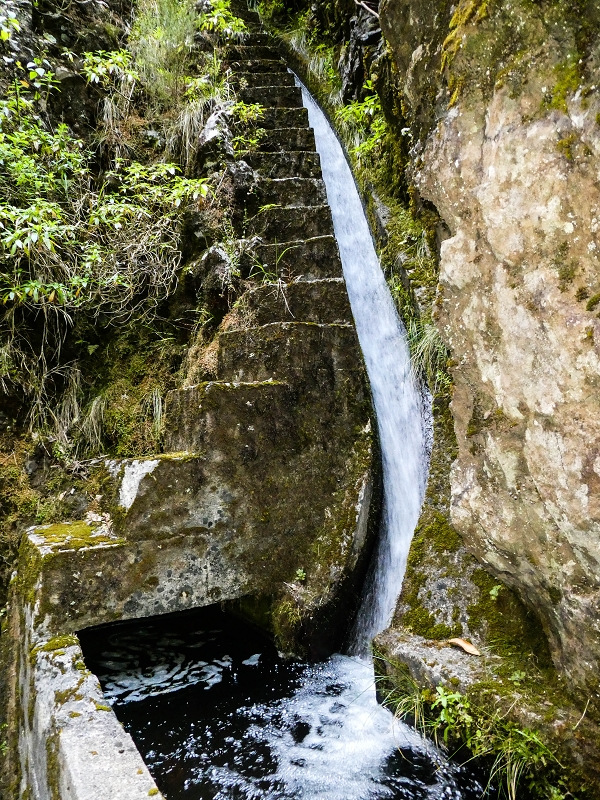 14.05.2019 Wieder einmal in einem meiner Lieblingsgebiete unterwegs: Faja da Nogueira — Auf der Levada Nova do Juncal zum Hinkelstein — Foto 10