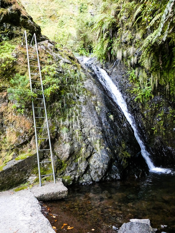 14.05.2019 Wieder einmal in einem meiner Lieblingsgebiete unterwegs: Faja da Nogueira — Auf der Levada Nova do Juncal zum Hinkelstein — Foto 11