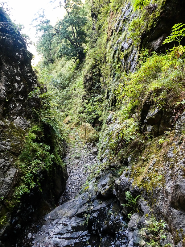 14.05.2019 Wieder einmal in einem meiner Lieblingsgebiete unterwegs: Faja da Nogueira — Auf der Levada Nova do Juncal zum Hinkelstein — Foto 12