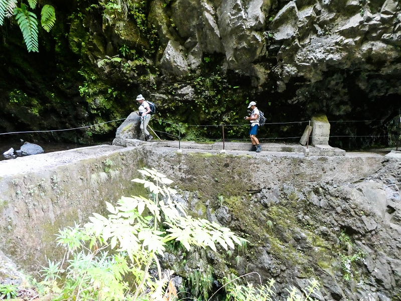 14.05.2019 Wieder einmal in einem meiner Lieblingsgebiete unterwegs: Faja da Nogueira — Auf der Levada Nova do Juncal zum Hinkelstein — Foto 13