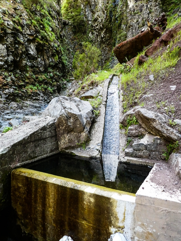 14.05.2019 Wieder einmal in einem meiner Lieblingsgebiete unterwegs: Faja da Nogueira — Auf der Levada Nova do Juncal zum Hinkelstein — Foto 15
