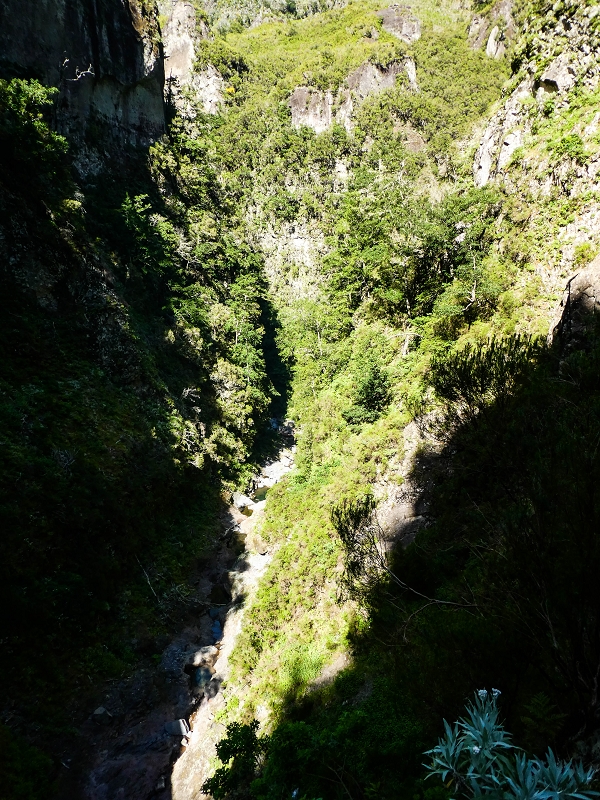 14.05.2019 Wieder einmal in einem meiner Lieblingsgebiete unterwegs: Faja da Nogueira — Auf der Levada Nova do Juncal zum Hinkelstein — Foto 17