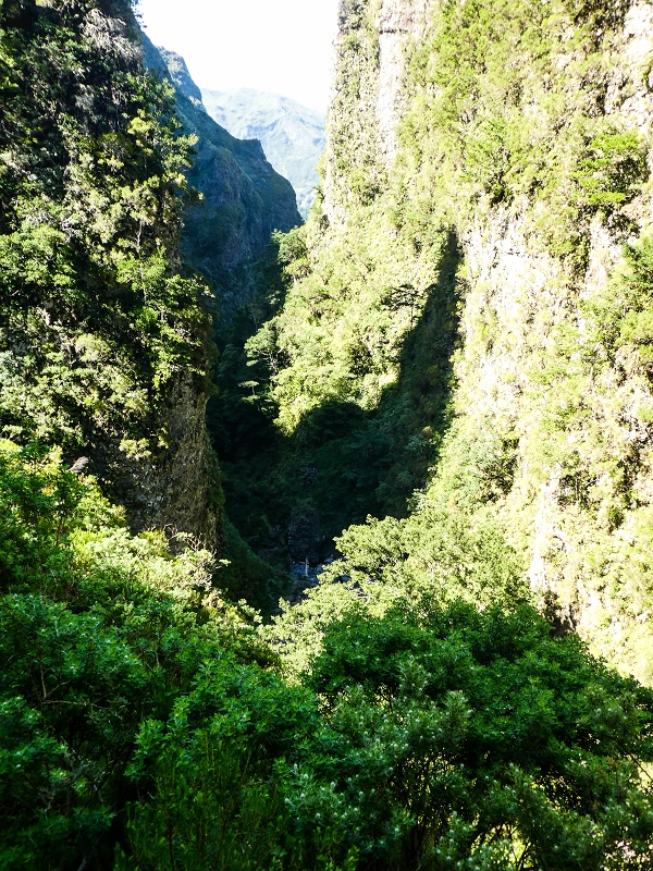 14.05.2019 Wieder einmal in einem meiner Lieblingsgebiete unterwegs: Faja da Nogueira — Auf der Levada Nova do Juncal zum Hinkelstein — Foto 18