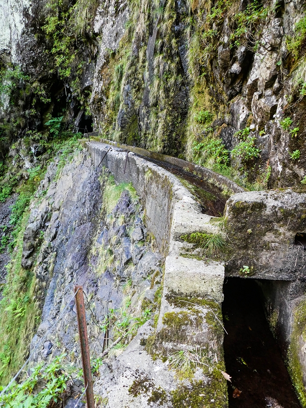 14.05.2019 Wieder einmal in einem meiner Lieblingsgebiete unterwegs: Faja da Nogueira — Auf der Levada Nova do Juncal zum Hinkelstein — Foto 19