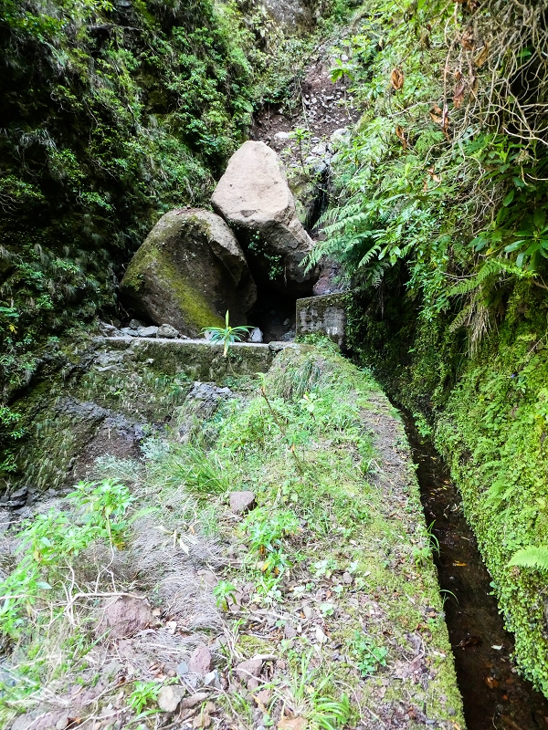 14.05.2019 Wieder einmal in einem meiner Lieblingsgebiete unterwegs: Faja da Nogueira — Auf der Levada Nova do Juncal zum Hinkelstein — Foto 20