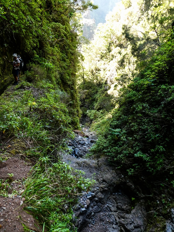 14.05.2019 Wieder einmal in einem meiner Lieblingsgebiete unterwegs: Faja da Nogueira — Auf der Levada Nova do Juncal zum Hinkelstein — Foto 21