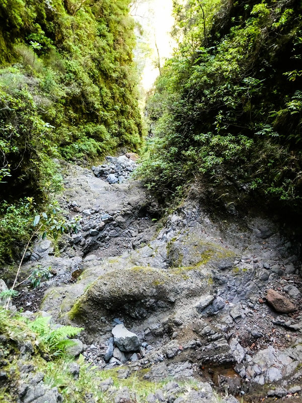 14.05.2019 Wieder einmal in einem meiner Lieblingsgebiete unterwegs: Faja da Nogueira — Auf der Levada Nova do Juncal zum Hinkelstein — Foto 22
