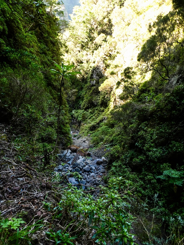 14.05.2019 Wieder einmal in einem meiner Lieblingsgebiete unterwegs: Faja da Nogueira — Auf der Levada Nova do Juncal zum Hinkelstein — Foto 23