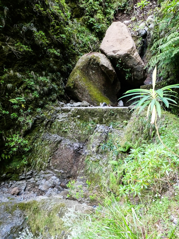 14.05.2019 Wieder einmal in einem meiner Lieblingsgebiete unterwegs: Faja da Nogueira — Auf der Levada Nova do Juncal zum Hinkelstein — Foto 24