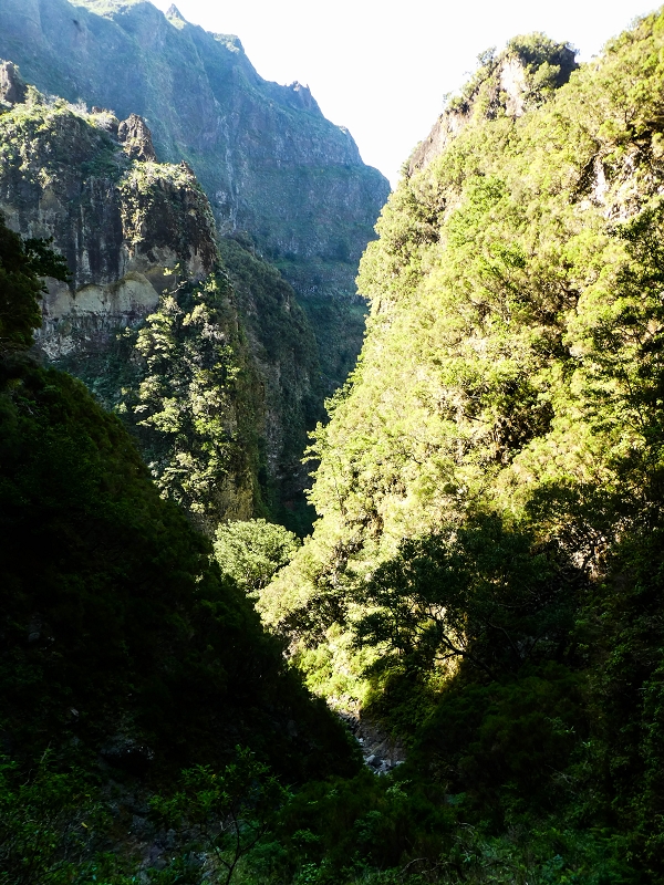 14.05.2019 Wieder einmal in einem meiner Lieblingsgebiete unterwegs: Faja da Nogueira — Zurück zur Madre in der Ribeira do Juncal — Foto 1