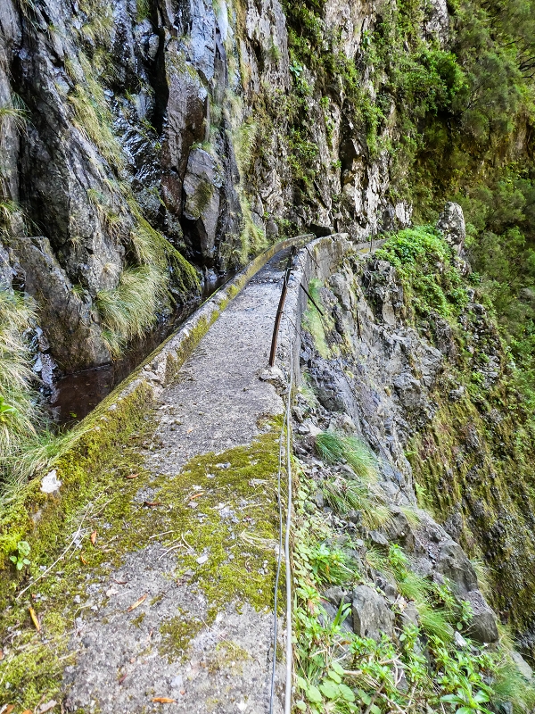 14.05.2019 Wieder einmal in einem meiner Lieblingsgebiete unterwegs: Faja da Nogueira — Zurück zur Madre in der Ribeira do Juncal — Foto 2