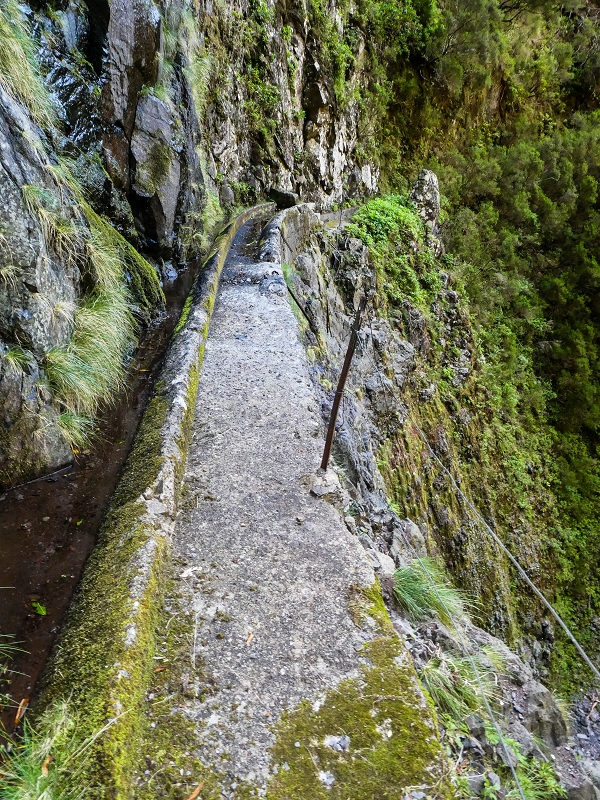 14.05.2019 Wieder einmal in einem meiner Lieblingsgebiete unterwegs: Faja da Nogueira — Zurück zur Madre in der Ribeira do Juncal — Foto 3