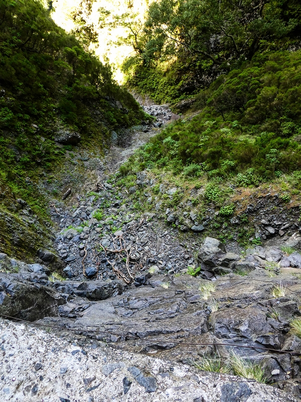14.05.2019 Wieder einmal in einem meiner Lieblingsgebiete unterwegs: Faja da Nogueira — Zurück zur Madre in der Ribeira do Juncal — Foto 4