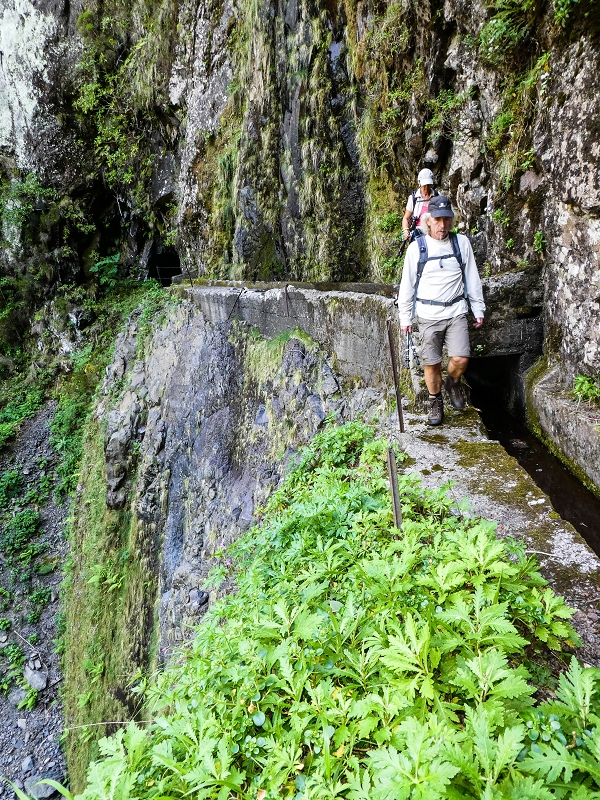 14.05.2019 Wieder einmal in einem meiner Lieblingsgebiete unterwegs: Faja da Nogueira — Zurück zur Madre in der Ribeira do Juncal — Foto 5