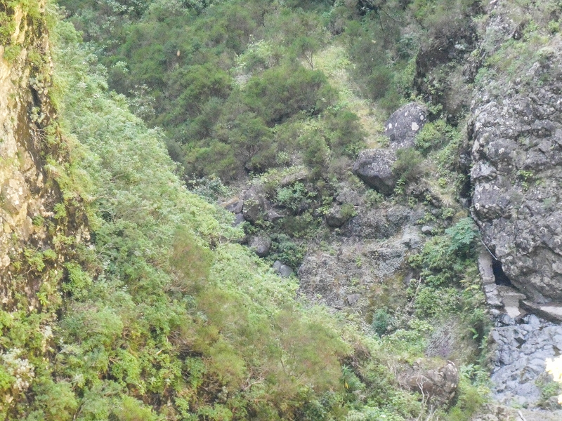 14.05.2019 Wieder einmal in einem meiner Lieblingsgebiete unterwegs: Faja da Nogueira — Zurück zur Madre in der Ribeira do Juncal — Foto 6