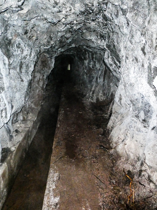 14.05.2019 Wieder einmal in einem meiner Lieblingsgebiete unterwegs: Faja da Nogueira — Zurück zur Madre in der Ribeira do Juncal — Foto 7